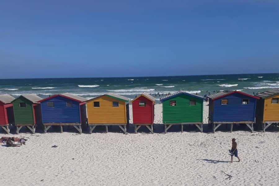 Cape of Good Hope: Sightseeing and African Penguins Tour - Cape Point and the New Lighthouse