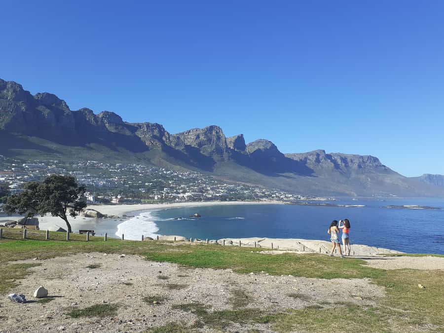Cape of Good Hope: Sightseeing and African Penguins Tour - Chapmans Peak, one of the days best roads