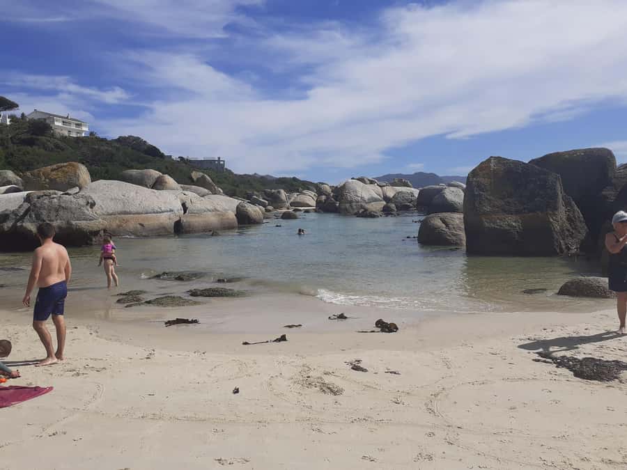 Cape of Good Hope: Sightseeing and African Penguins Tour - Noordhoek Farm Village and the coffee stop