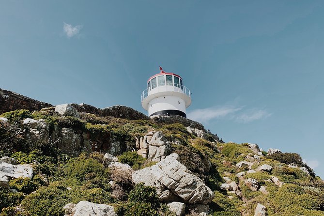 Cape of Good Hope, Table Mountain & Penguins Private Tour from Cape Town - What the $172.54 Price Really Covers
