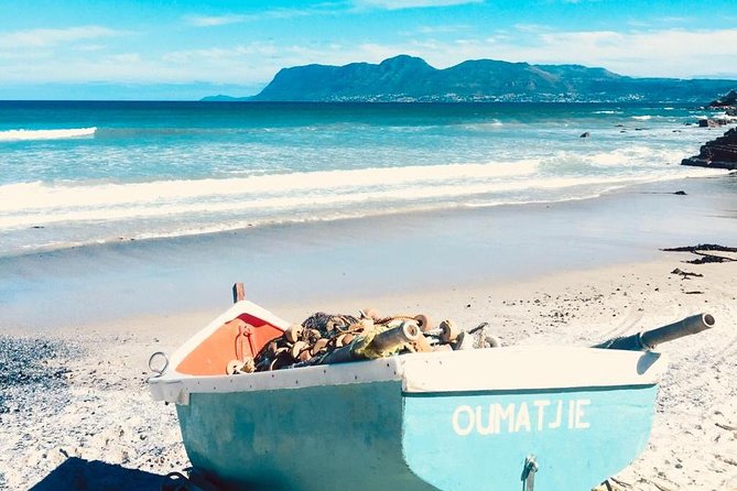 Cape Peninsula Adventure - Two hours at the Cape of Good Hope