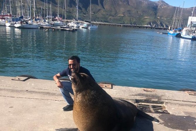 Cape Peninsula Adventure - Fish Hoek, Kalk Bay, and Muizenberg