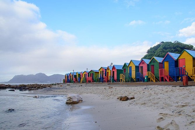 Cape Peninsula and Boulders Full Day Tour with Private Transfer - What the $268.41 price really buys
