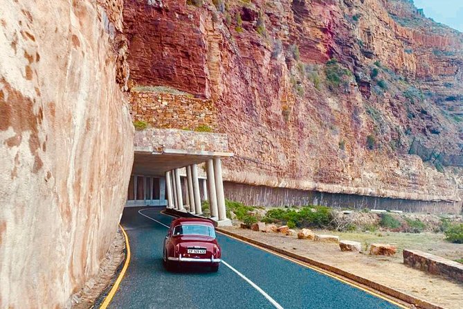 Cape Peninsula in a Vintage Car (Penguins, Cape Point & Chapman's Peak drive) - The Twelve Apostles ending is optional