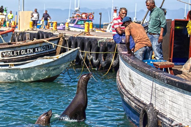 Cape Peninsula in a Vintage Car (Penguins, Cape Point & Chapman's Peak drive) - Who will enjoy this vintage-car day most