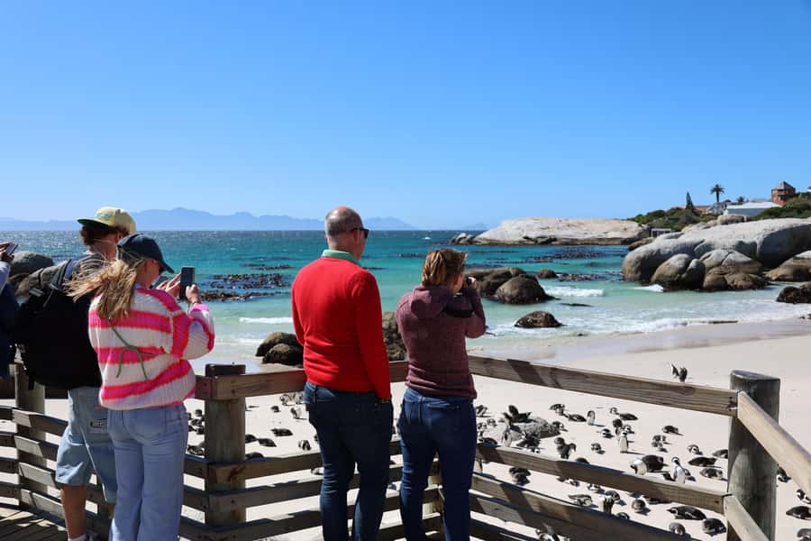 Cape Peninsula & Penguins Beach Half Day Tour from Cape Town - Who should book this half-day outing?