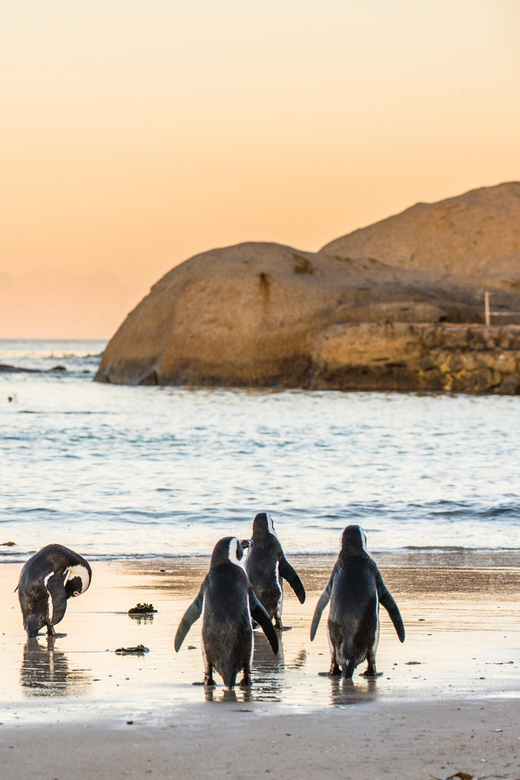 Cape Peninsula & Penguins Beach Half Day Tour from Cape Town - Muizenberg on the return to Cape Town