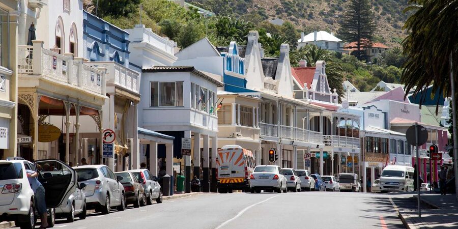 Cape Peninsula & Penguins Beach Half Day Tour from Cape Town - Is $36 good value once the fees are added?