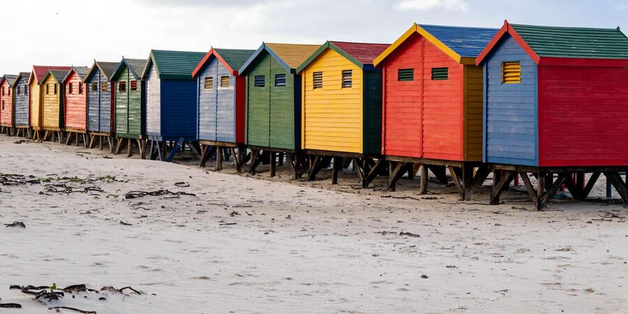 Cape Peninsula: Private Full Day Tour - Who Will Get the Most From This Tour