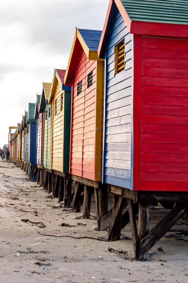 Cape Peninsula: Private Full Day Tour - Boulders Beach and the African Penguin Colony