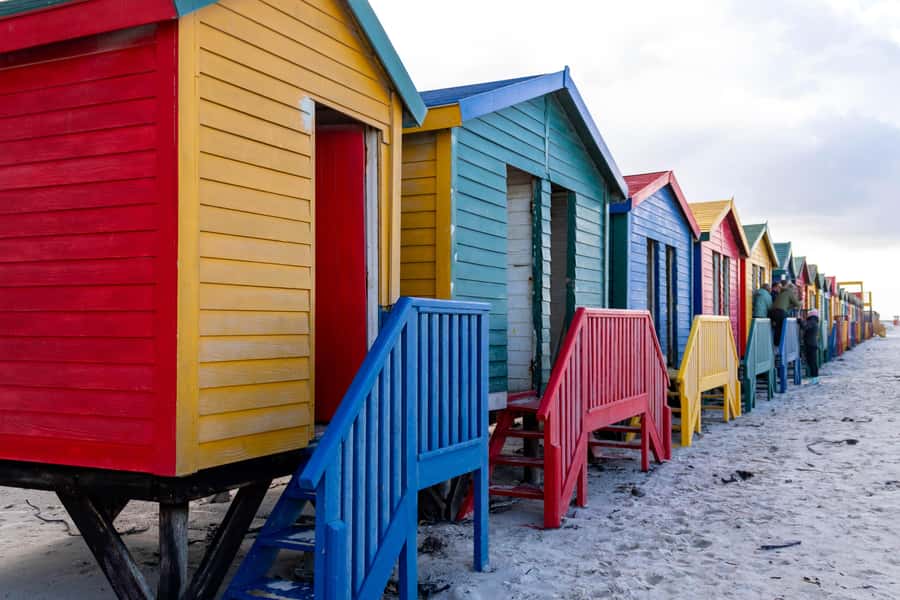 Cape Peninsula: Private Full Day Tour - What $225 Per Person Really Buys