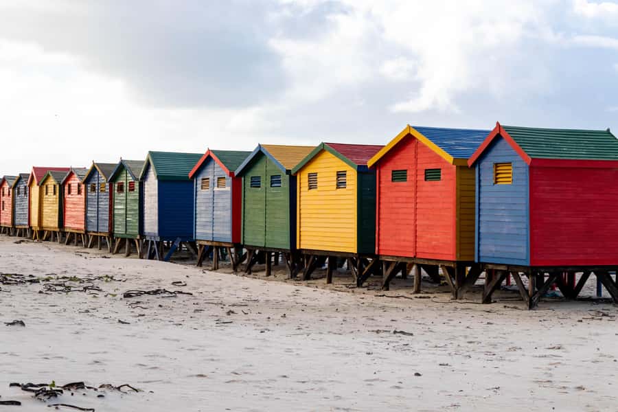 Cape Peninsula: Private Full Day Tour - Guide Quality and Language Choice