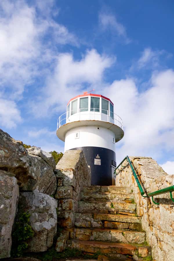 Cape Peninsula: Private Half Day Tour - Chapman’s Peak Drive depends on the road being open