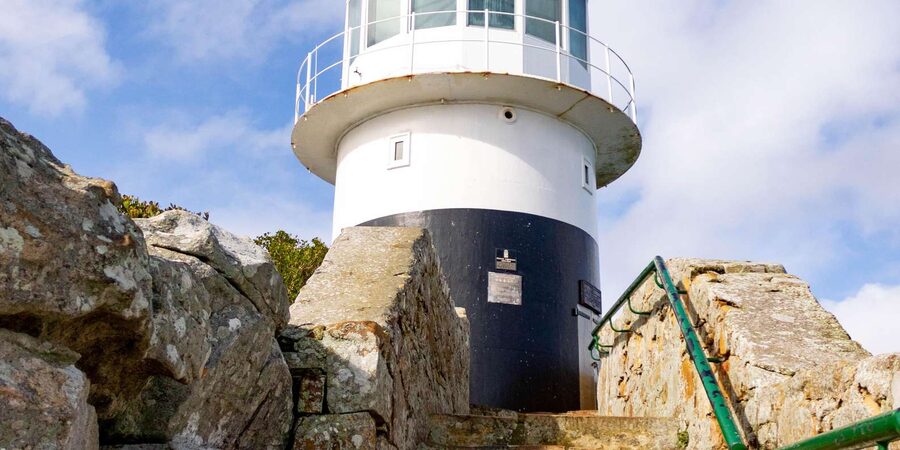 Cape Peninsula: Private Half Day Tour - Who will get the most from this outing