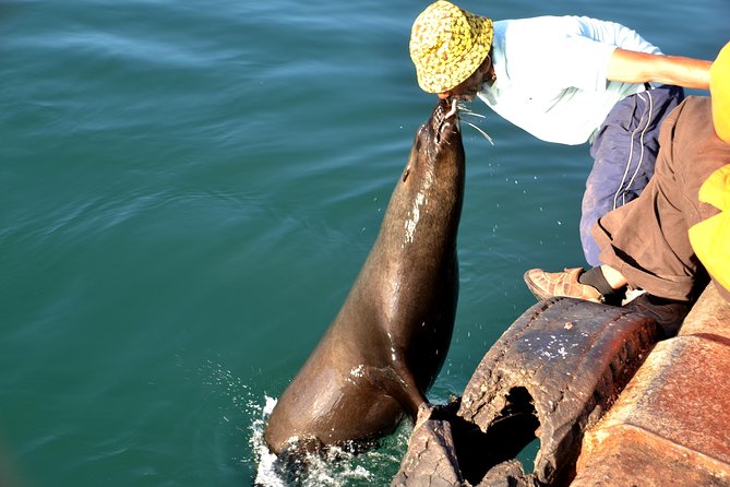 Cape Peninsula Private Tour - Why a private day makes sense on the Cape Peninsula