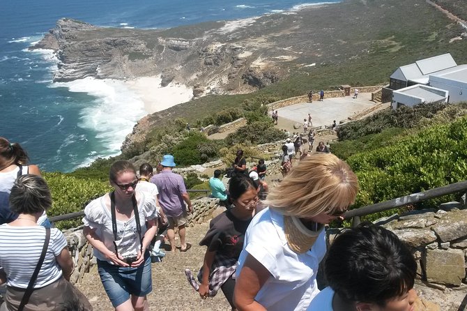 Cape Peninsula Private Tour - Cape Point and the meeting of two ocean currents