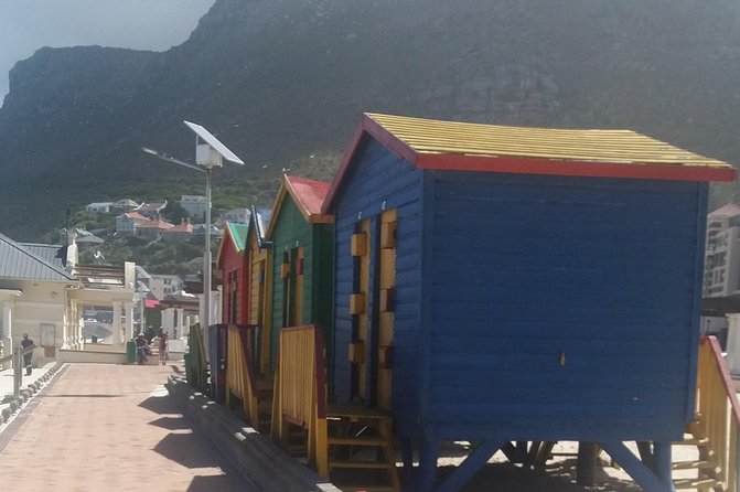 Cape Peninsula Private Tour - Maidens’ Cove and the Atlantic beaches