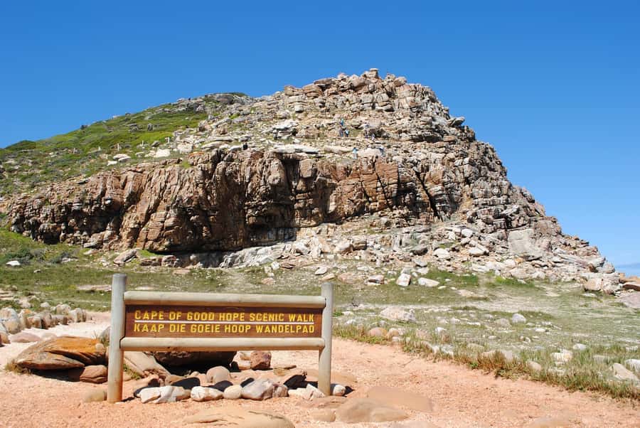 Cape Peninsula Shared Half-Day Tour - Constantia adds a final change of scenery