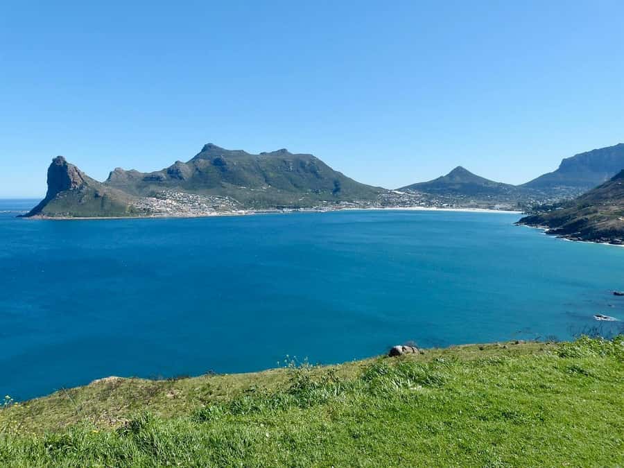 Cape Peninsula Shared Half-Day Tour - Does the $87 price offer good value?