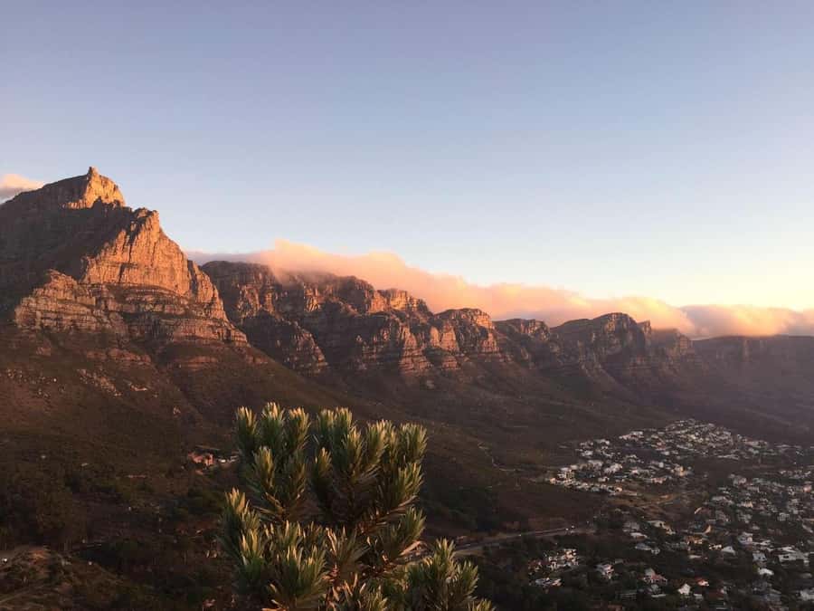 Cape Peninsula Shared Half-Day Tour - Clifton and Camps Bay: polished beaches below the Twelve Apostles