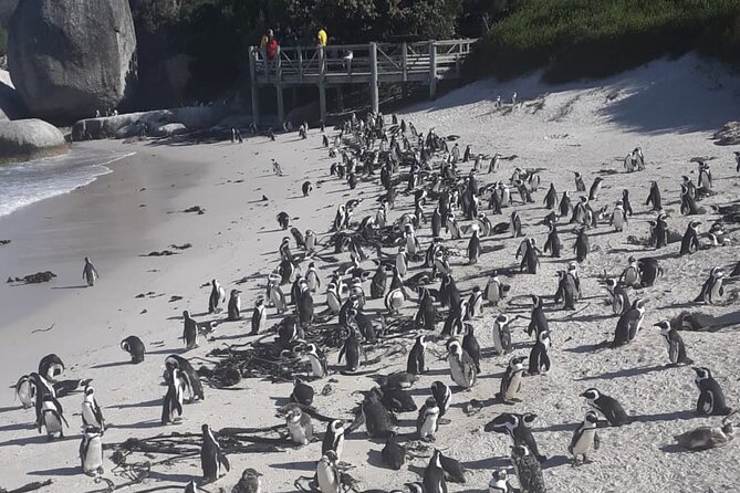 Cape Peninsula Tour Cape Town City - Cape Point and the Cape of Good Hope reserve