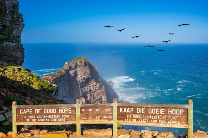 Cape Peninsula Tours - Chapman’s Peak from the road