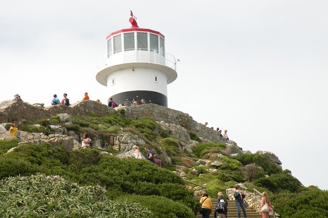 Cape Peninsula Tours - Weather and cancellation planning