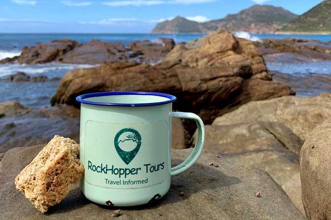 Cape Peninsula with a Marine Biologist - Chapman’s Peak, with more than a postcard view