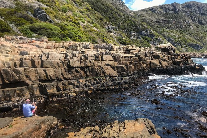 Cape Peninsula with a Marine Biologist - How the private format affects the day