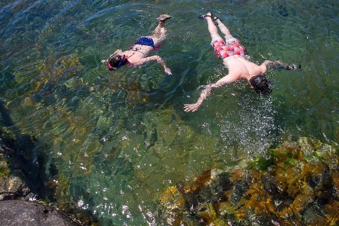 Cape Peninsula with a Marine Biologist - Who will enjoy this Cape Peninsula day most?