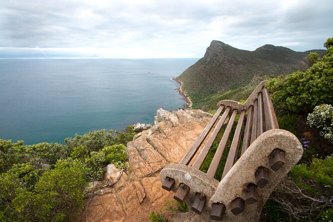 Cape Point and Boulder's Penguins Full Day Tour - Why this Cape Town day trip works