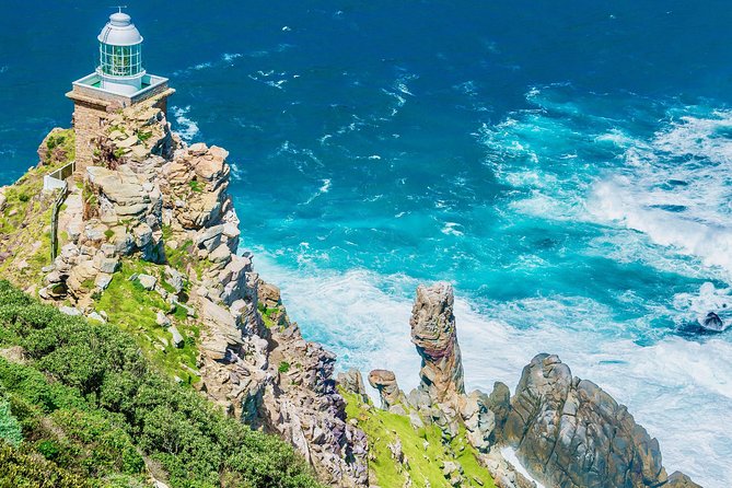 Cape Point and Boulder's Penguins Full Day Tour - What the bus tour feels like in practice