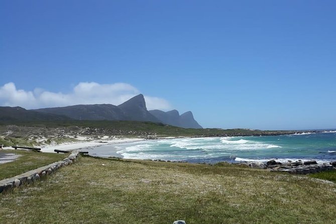 Cape Point, Boulder's Beach in Private Car Entrance Fees Included - Hout Bay offers the day’s clearest choice