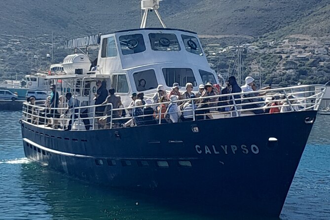 Cape Point Cape Of Good Hope And Penguins Private Tour - Cape Town, Bo-Kaap, and the first look at local history