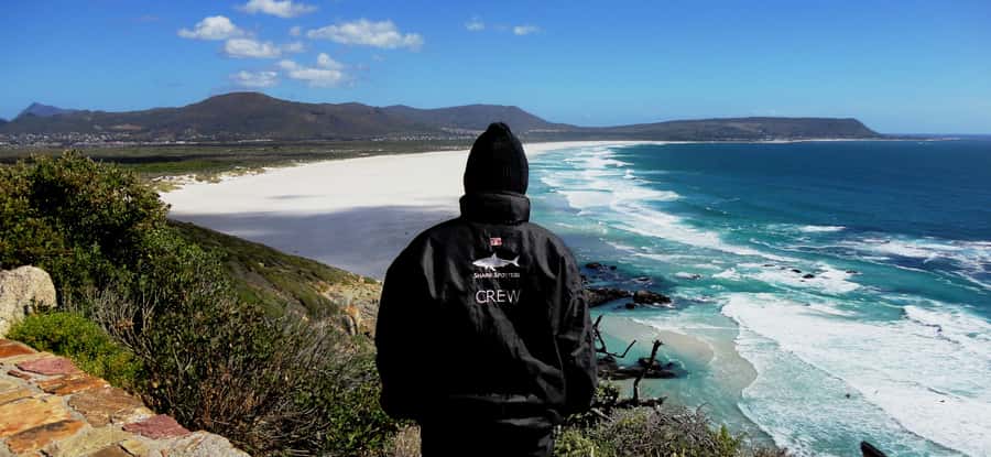 Cape Point Cape of Good Hope, Penguins Private Half day Tour - Hout Bay, the Twelve Apostles, and Camps Bay