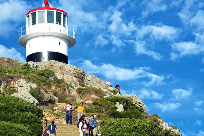 Cape Point Explore with Boulder's Penguins Small Group Day Tour - How the small group affects the day