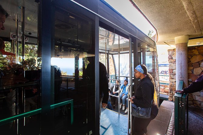 Cape Point Flying Dutchman Funicular Return Ticket - Wildlife and scenery near the top