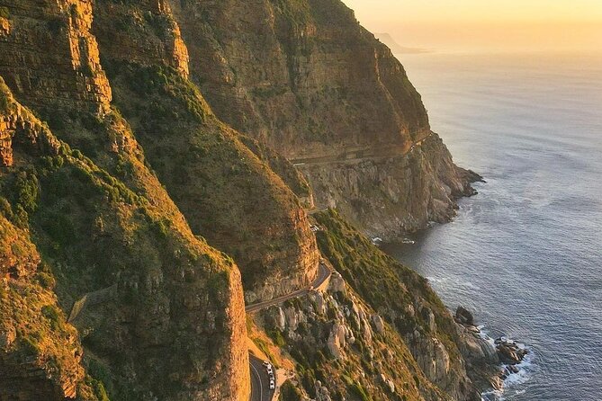 Cape Point Full Day Tour - Boulders Beach and the African penguin colony