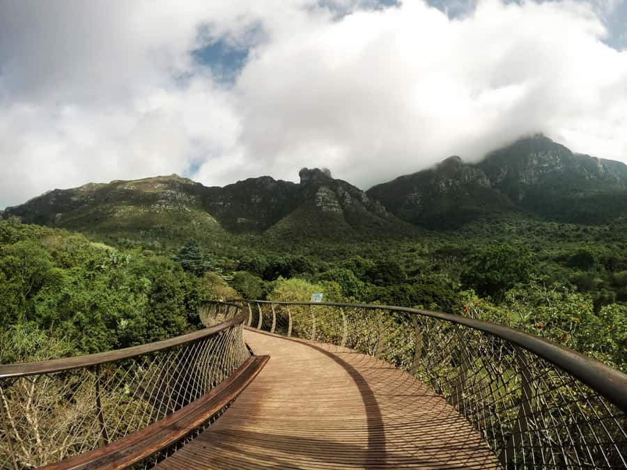 Cape Point Full-Day Tour From Cape Town - Boulders Beach and the penguin colony