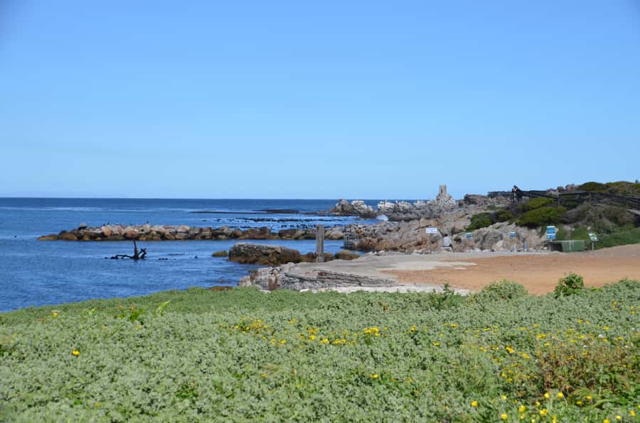 Cape Point Full-Day Tour From Cape Town - Muizenberg and Kirstenbosch