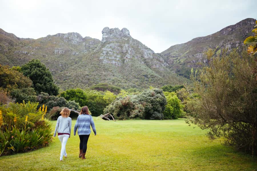 Cape Point Full-Day Tour From Cape Town - What the guide adds