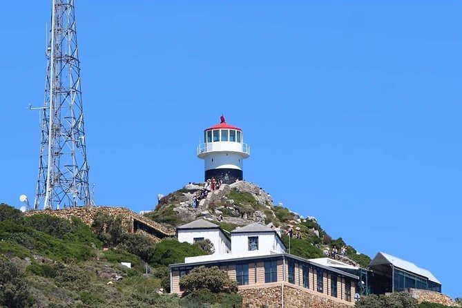 Cape Point & Penguin Explorer Tour - Why this Cape Peninsula day works well