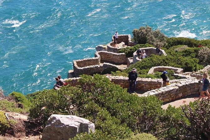 Cape Point & Penguin Explorer Tour - Two hours around Cape Point
