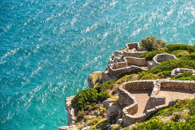 Cape Point Penguin Tour - Why the penguins are only part of the appeal