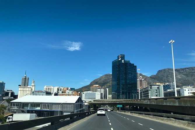 Cape Point Penguin Tour - Chapman’s Peak is the scenic centerpiece