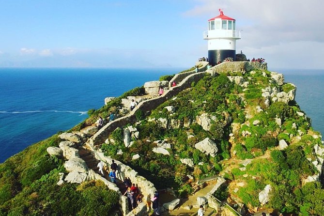 Cape Point Penguin Tour - Simon’s Town and the Boulders Beach penguin colony