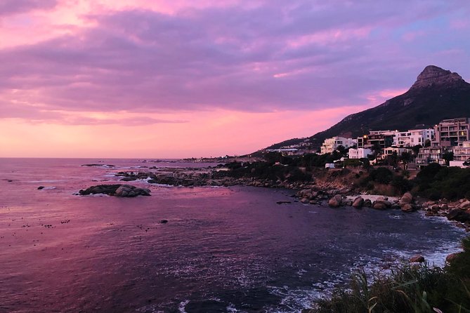 Cape Point Penguin Tour - Cape Point and the Cape of Good Hope Nature Reserve