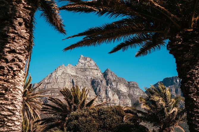 Cape Point Penguin Tour - The return through Scarborough and Noordhoek