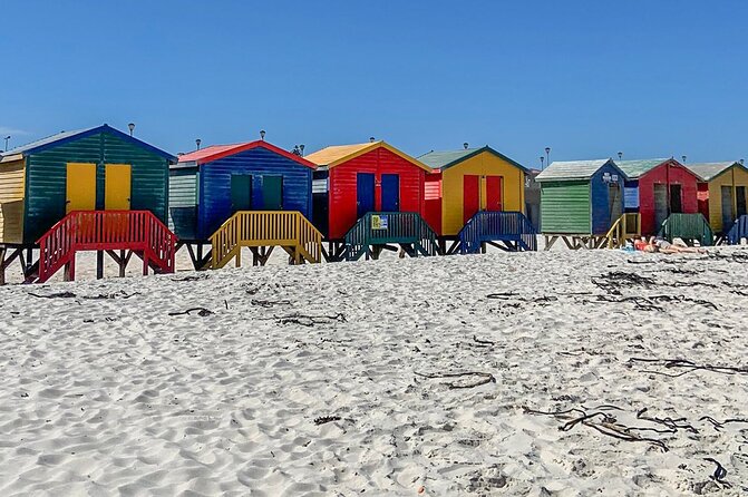 Cape Point, Penguins & Wine Tasting In Constantia Full Day Tour - Hout Bay, seals, and the optional boat