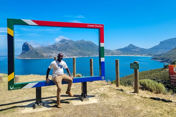 Cape Point, Penguins & Wine Tasting In Constantia Full Day Tour - Simon’s Town and Boulders Beach penguins